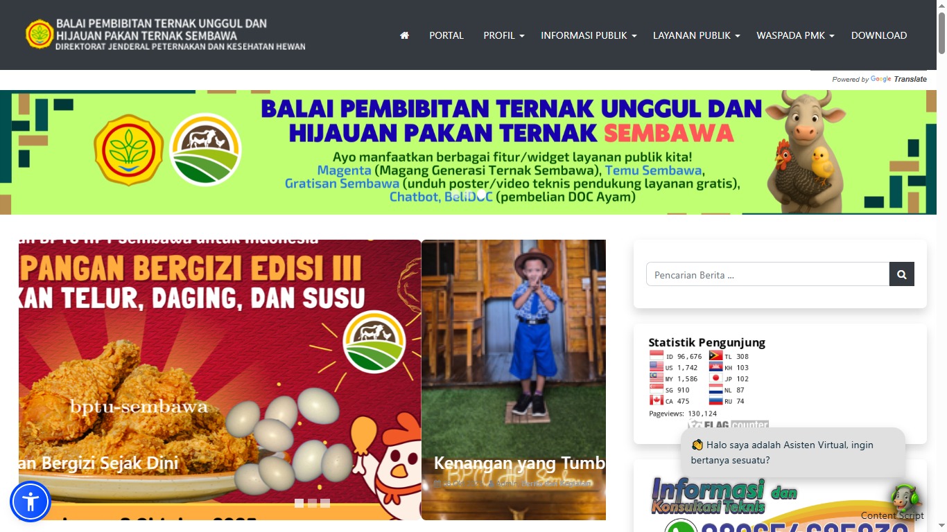 Desain Website Profesional